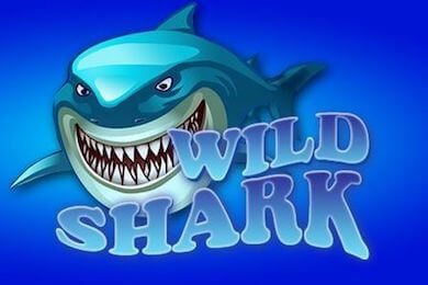 Wildshark играть в Драгон Мани